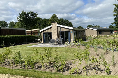 Photo 1 - Maison de 3 chambres à Hulshorst avec piscine et terrasse