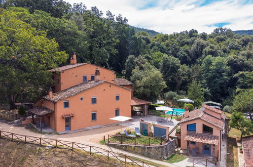 Photo 72 - Maison de 2 chambres à Castagneto Carducci avec piscine et jardin