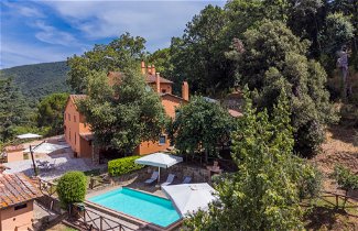 Foto 1 - Casa con 2 camere da letto a Castagneto Carducci con piscina e vista mare