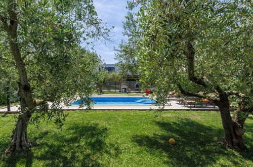 Photo 37 - 2 bedroom Apartment in Novigrad with private pool and garden