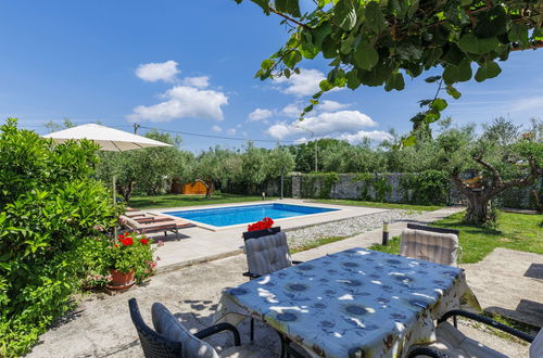 Photo 18 - 2 bedroom Apartment in Novigrad with private pool and garden