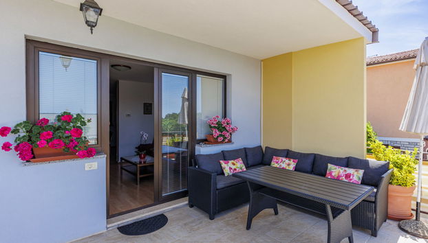 Apartment mit 3 Schlafzimmern in Novigrad mit privater pool und garten - Foto 5
