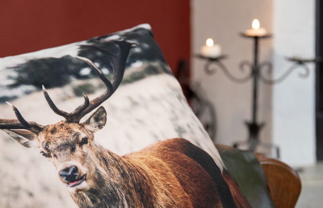 Casa de 4 quartos em Riddes com jardim e terraço - Foto 16