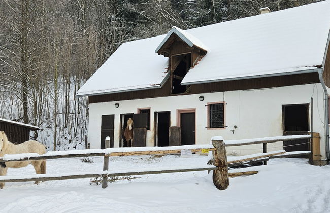 Casa de 3 quartos em Stárkov com piscina e jardim - Foto 34