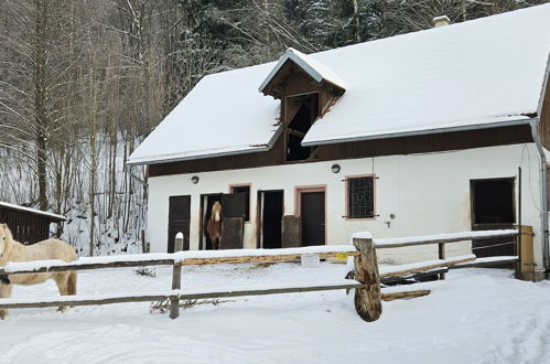 Foto 34 - Haus mit 3 Schlafzimmern in Stárkov mit schwimmbad und garten