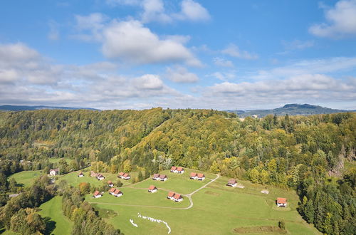 Foto 42 - Haus mit 3 Schlafzimmern in Stárkov mit schwimmbad und garten