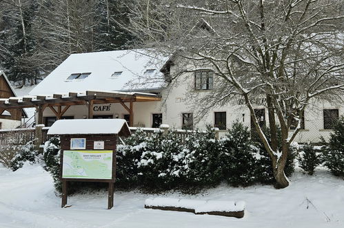 Foto 37 - Casa de 3 quartos em Stárkov com piscina e jardim