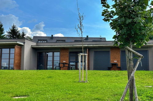 Photo 7 - Maison de 1 chambre à Říčky v Orlických horách avec terrasse et sauna