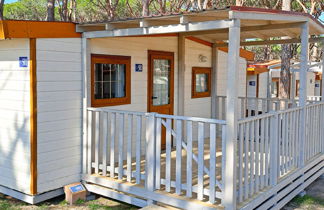 Foto 2 - Casa de 2 quartos em Aglientu com piscina e terraço