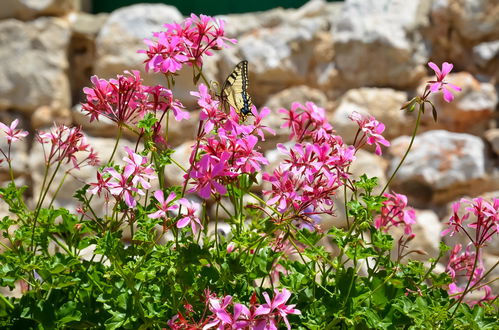 Photo 20 - 5 bedroom House in Vinodolska Općina with private pool and terrace