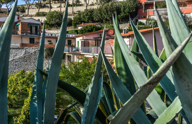 Apartamento de 2 quartos em Capoliveri com jardim e terraço - Foto 27