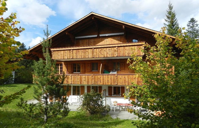 Apartamento de 1 quarto em Saanen - Foto 3