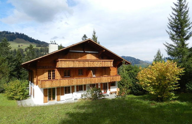 Apartamento de 1 quarto em Saanen - Foto 2