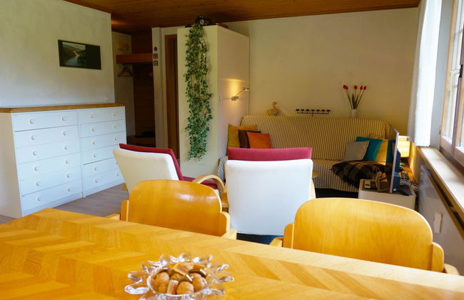 Apartamento de 1 quarto em Saanen - Foto 10