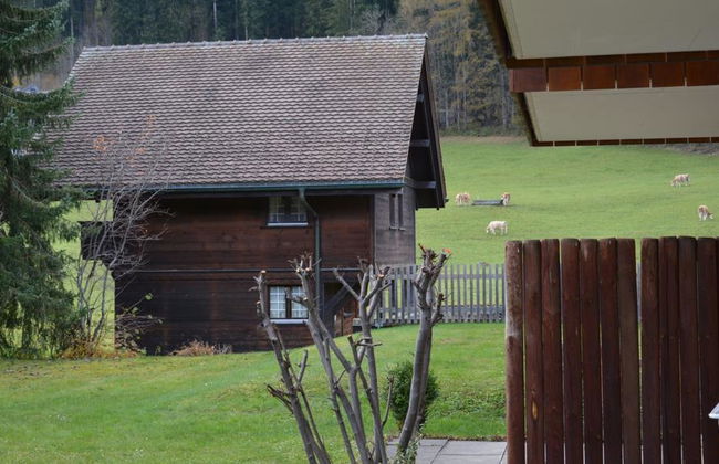 Apartamento de 1 quarto em Zweisimmen - Foto 7
