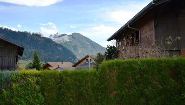 Apartment mit 1 Schlafzimmer in Zweisimmen - Foto 5