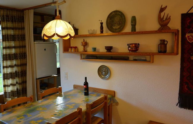 Apartamento de 1 quarto em Zweisimmen - Foto 12