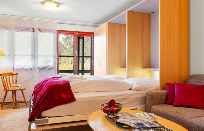 Apartamento de 1 quarto em Ernen com jardim - Foto 9