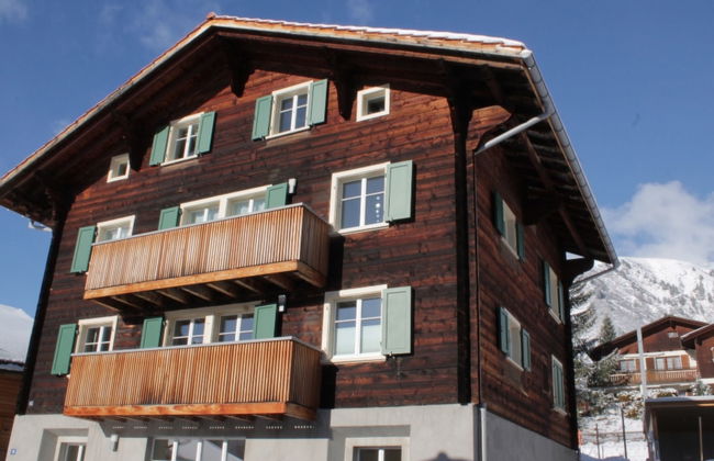 Apartamento de 3 quartos em Tujetsch - Foto 8