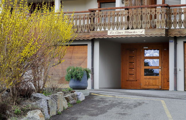 Apartamento de 4 quartos em Nendaz com terraço - Foto 27