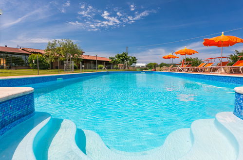 Foto 2 - Casa con 2 camere da letto a Scarlino con piscina e vista mare