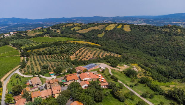 Casa de 2 quartos em Cinigiano com piscina e jardim - Foto 5