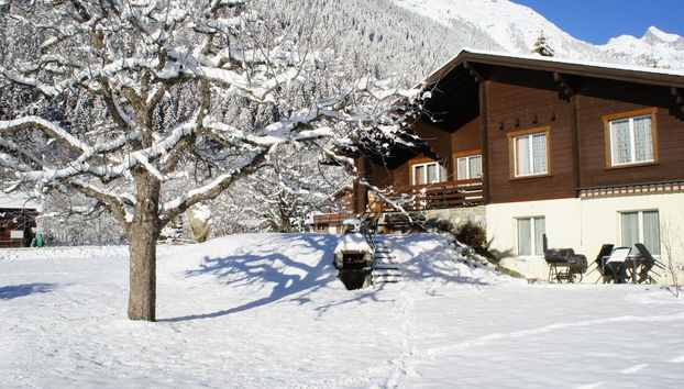 Apartment mit 1 Schlafzimmer in Fieschertal - Foto 5