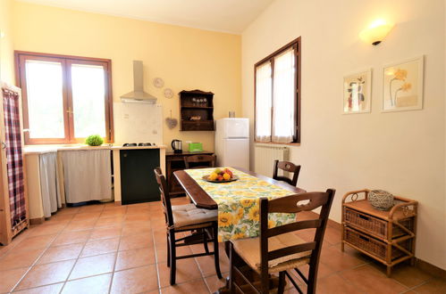 Photo 7 - 1 bedroom House in Roccastrada with swimming pool and garden