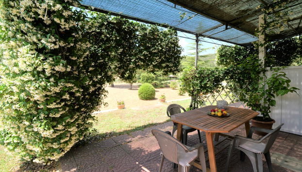 Haus mit 2 Schlafzimmern in Roccastrada mit schwimmbad und garten - Foto 3