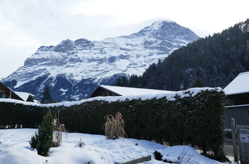 Foto 18 - Apartamento en Grindelwald con jardín y vistas a la montaña