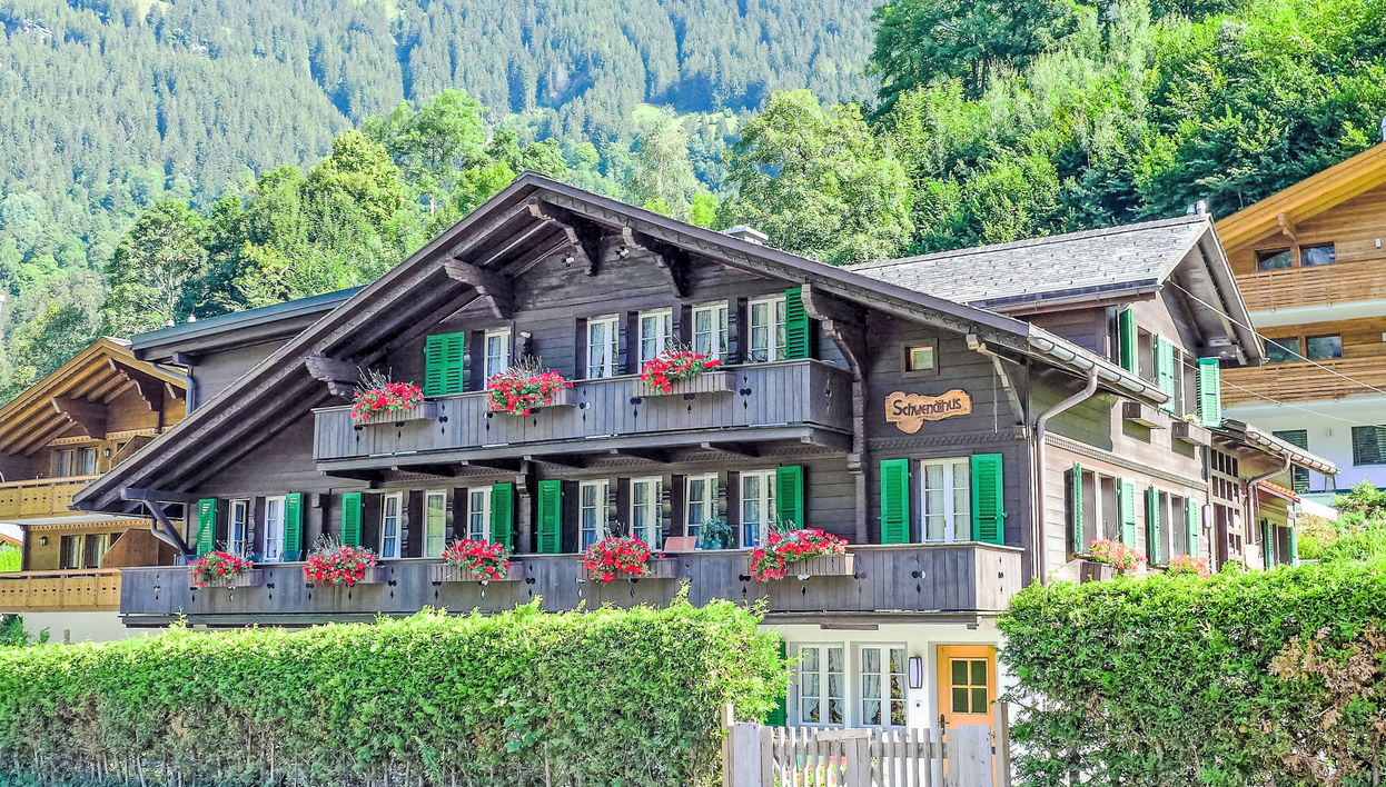 Apartment mit 1 Schlafzimmer in Grindelwald mit garten - Foto 1
