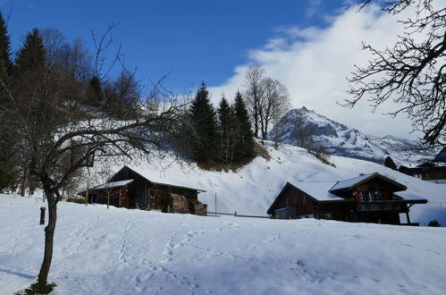 Foto 18 - Apartamento en Grindelwald con jardín y vistas a la montaña