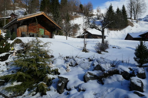 Foto 17 - Appartamento a Grindelwald con giardino e vista sulle montagne