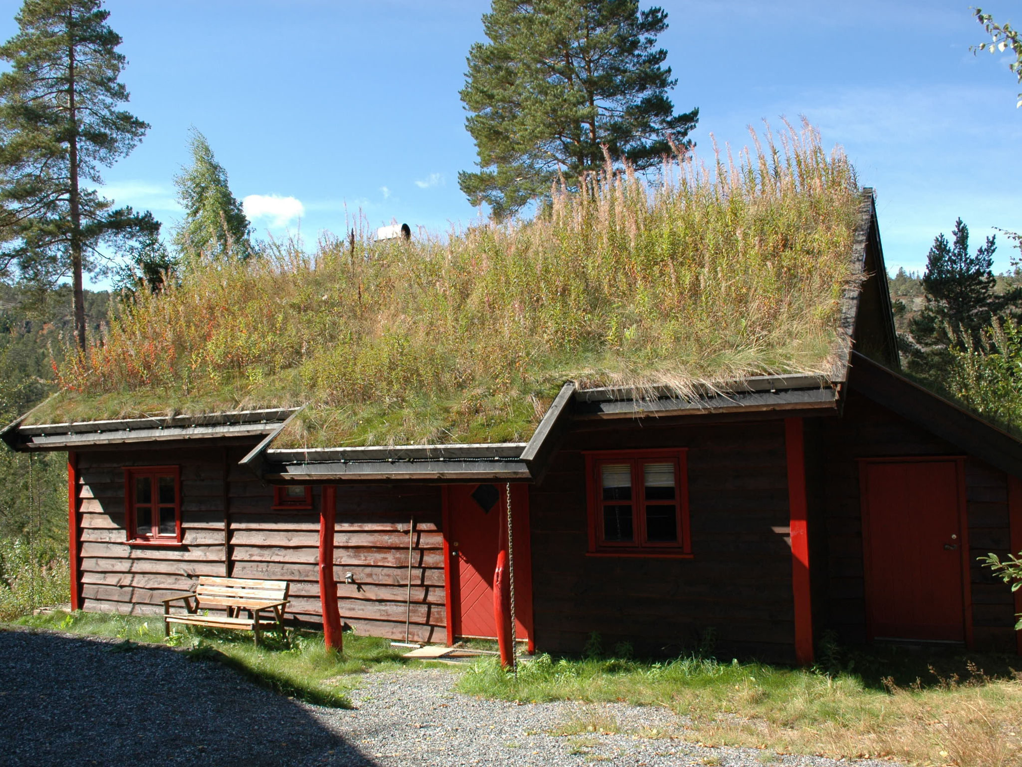 Photo 10 - Maison de 4 chambres à Nissedal avec terrasse et sauna