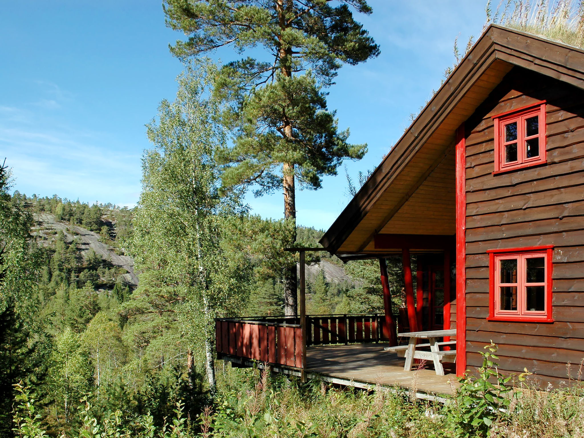 Foto 1 - Casa de 4 quartos em Nissedal com terraço e sauna