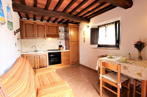 Photo 5 - 1 bedroom Apartment in Massa Marittima with swimming pool and garden