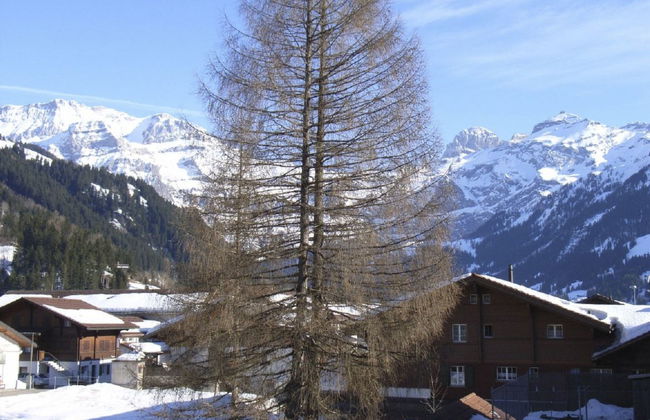 Apartamento de 1 quarto em Lenk - Foto 7