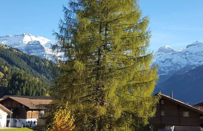 Apartamento de 1 quarto em Lenk - Foto 1