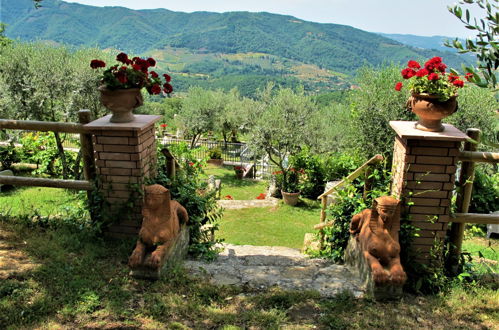 Foto 21 - Casa con 4 camere da letto a Greve in Chianti con piscina e giardino