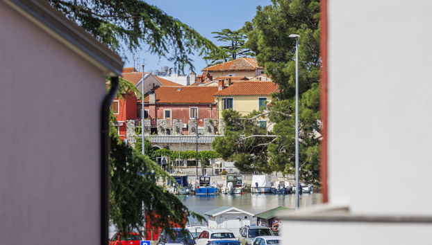 Apartamento de 4 quartos em Novigrad com jardim e terraço - Foto 5