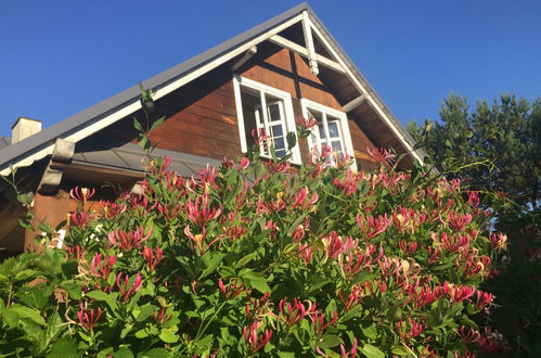 Photo 39 - Maison de 5 chambres à Sztutowo avec jardin et terrasse