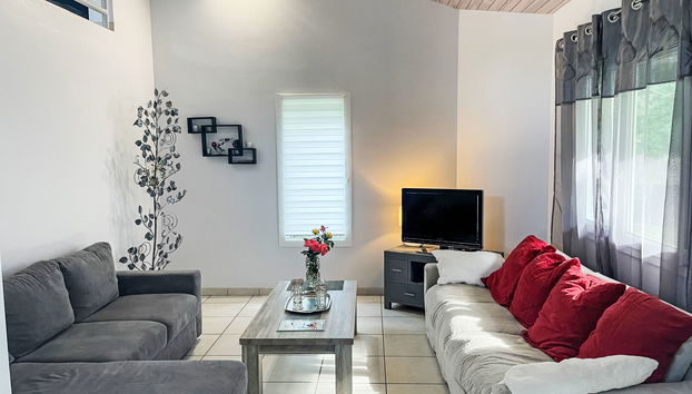 Haus mit 4 Schlafzimmern in Messanges mit garten und terrasse - Foto 4