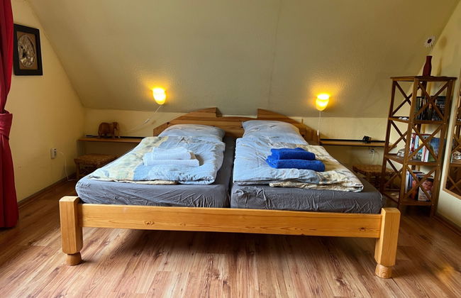 Apartamento de 1 quarto em Prerow com jardim - Foto 4
