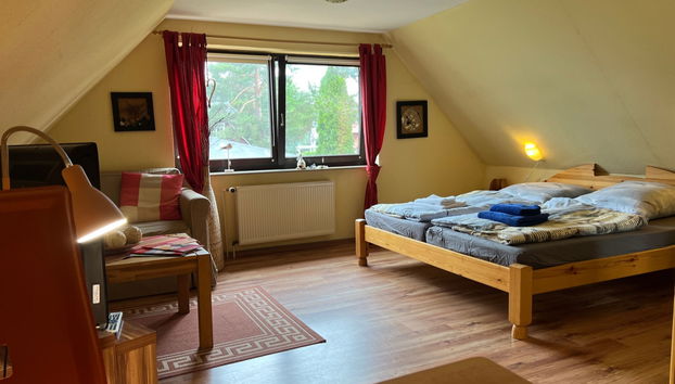 Apartment mit 1 Schlafzimmer in Prerow mit garten - Foto 2