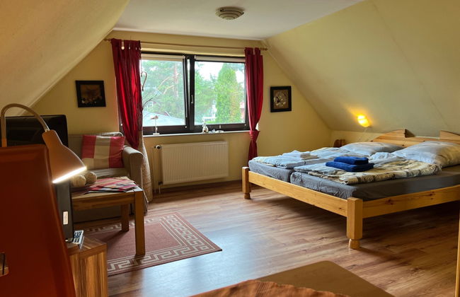 Apartamento de 1 quarto em Prerow com jardim - Foto 2