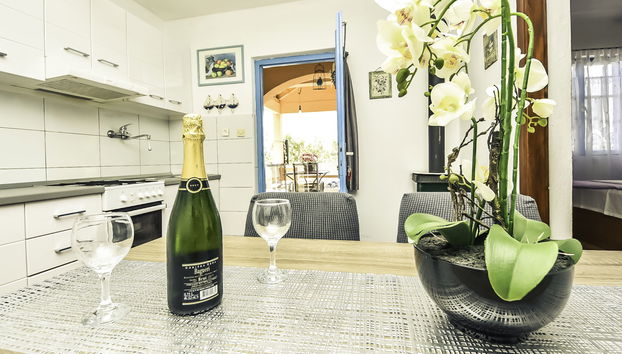 Haus mit 4 Schlafzimmern in Pašman mit garten und terrasse - Foto 3