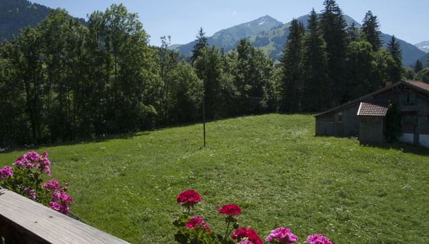 Apartamento de 1 quarto em Saanen - Foto 2