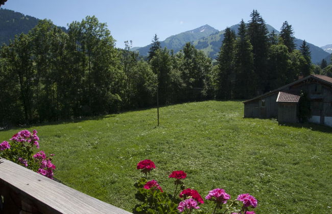Apartamento de 1 quarto em Saanen - Foto 2