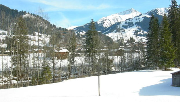 Apartamento de 1 quarto em Saanen - Foto 3