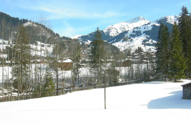 Apartamento de 1 quarto em Saanen - Foto 3